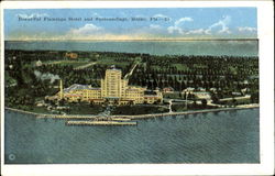 Beautiful Flamingo Hotel And Surroundings Postcard