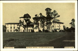 Jungle Hotel Postcard
