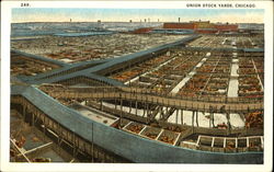 Union Stock Yards Chicago, IL Postcard Postcard