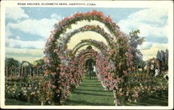 Rose Arches, Elizabeth Park Postcard