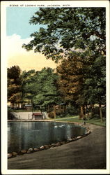 Scene At Loomis Park Jackson, MI Postcard Postcard
