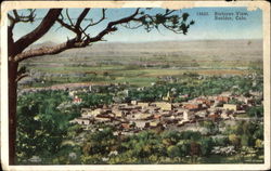 Birdseye View Postcard