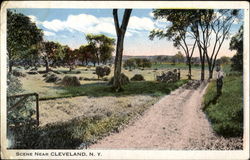 Scene Near Cleveland Postcard