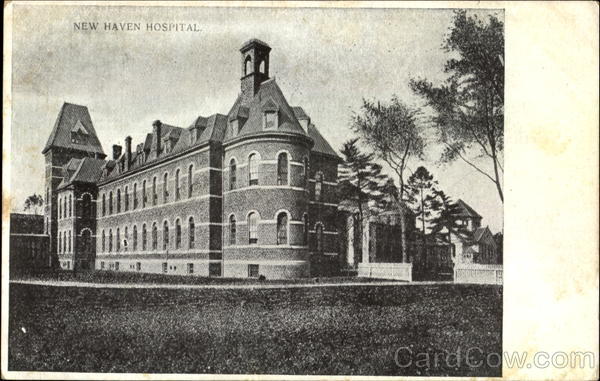 New Haven Hospital Connecticut