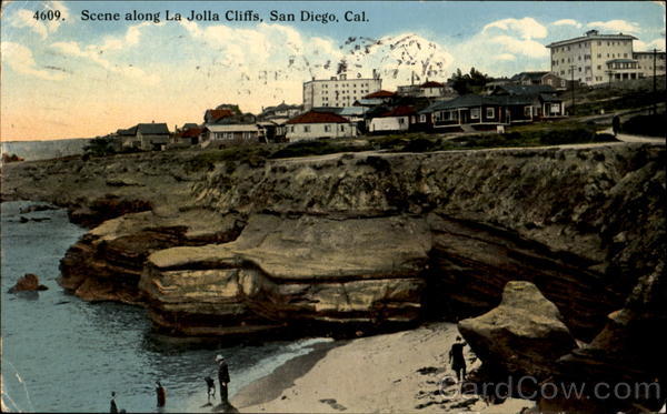 Scene Along La Jolla Cliffs San Diego California