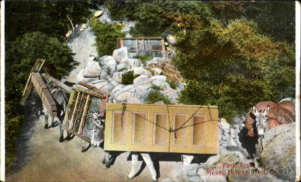 Pack Train On Mount Wilson Trail Los Angeles California