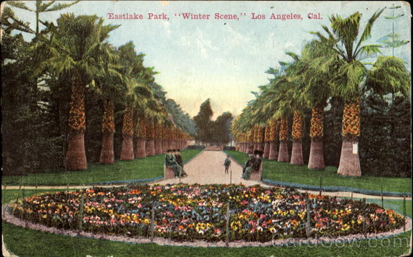 Eastlake Park Winter Scene Los Angeles California
