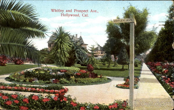 Whitley And Prospect Ave Hollywood California