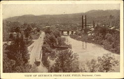 View Of Seymour From Park Field Postcard