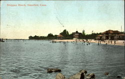 Shippan Beach Stamford, CT Postcard Postcard