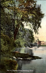 View On Naugatuck River Postcard