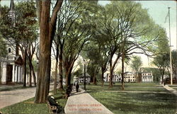 New Haven Green Connecticut Postcard Postcard