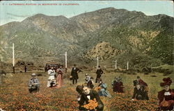 Gathering Poppies In Midwinter In California Postcard