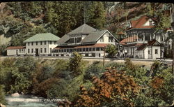 Shasta Springs Postcard