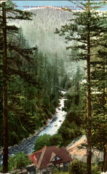 View From Scenic Railway, Shasta Route S. P. R. R Postcard