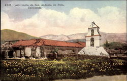 Asistencia De San Antonia De Pala Postcard