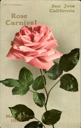 Rose Carnival San Jose, CA Postcard Postcard