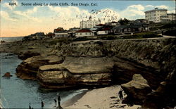 Scene Along La Jolla Cliffs Postcard