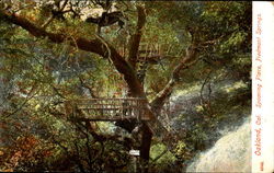 Spooning Place, Piedmont Springs Postcard