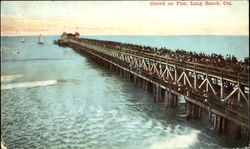 Crowd On Pier Postcard