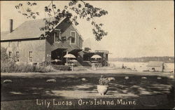 Lily Lucas Orrs Island, ME Postcard Postcard