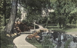 Spring, Ohio State University Campus Postcard