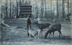 The Zoo At Wade Park Postcard