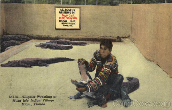 Alligator Wrestling Pit, Musa Isle Indian Village Miami Florida