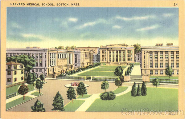Harvard Medical School Boston Massachusetts