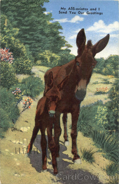 My Ass-ociates and I Send You Our Greetings Donkeys