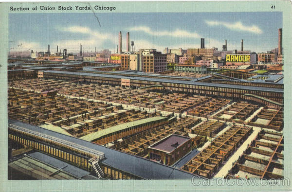 Section of Union Stock Yards Chicago Illinois