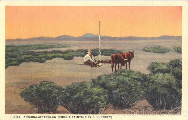 Arizona Afterglow Cowboy Western