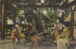 Cooking Seminole Indian Style, Musa Isle Indian Village Postcard
