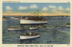 Motor Boating on Sunny Seas, Cedar Point Postcard