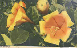 Stock #19003 Thumbnail