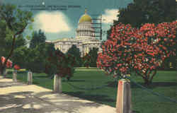 State Capitol and Beautiful Grounds Sacramento, CA Postcard Postcard