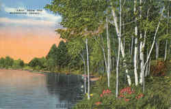 Shawano Lake Bonduel, WI Postcard Postcard