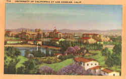 University of California Los Angeles, CA Postcard Postcard