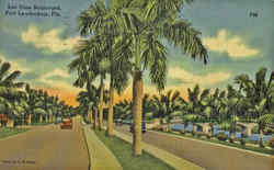 Las Olas Boulevard Postcard