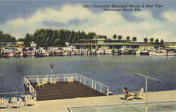 Clearwater Municipal Marina & Boat Slips Postcard