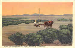 Arizona Afterglow Postcard