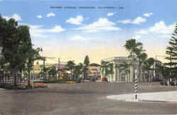 Orange Avenue Postcard