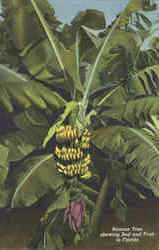 Stock #19226 Thumbnail