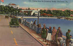 Fishing from the Causeway Bridge Postcard