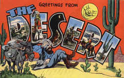 Greetings from the Desert Large Letter Postcard Postcard