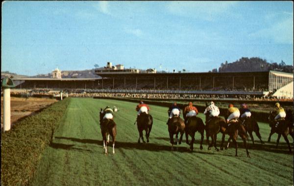 Racing At Del Mar California
