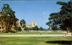 U. C. L. A. Campus Postcard