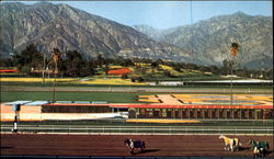 Santa Anita - Framed By Palm Trees Arcadia, CA Horse Racing Postcard Postcard