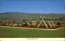Fremont Play Area California Postcard Postcard
