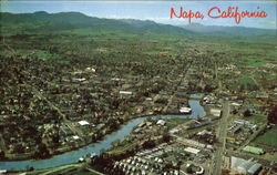 Napa Postcard